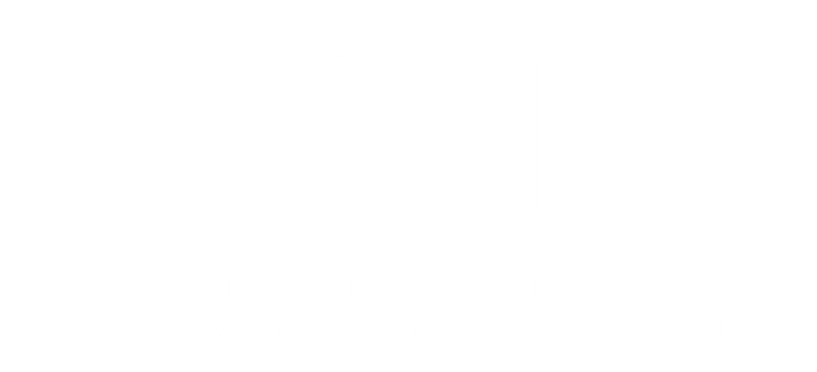 logo tritono 21-03