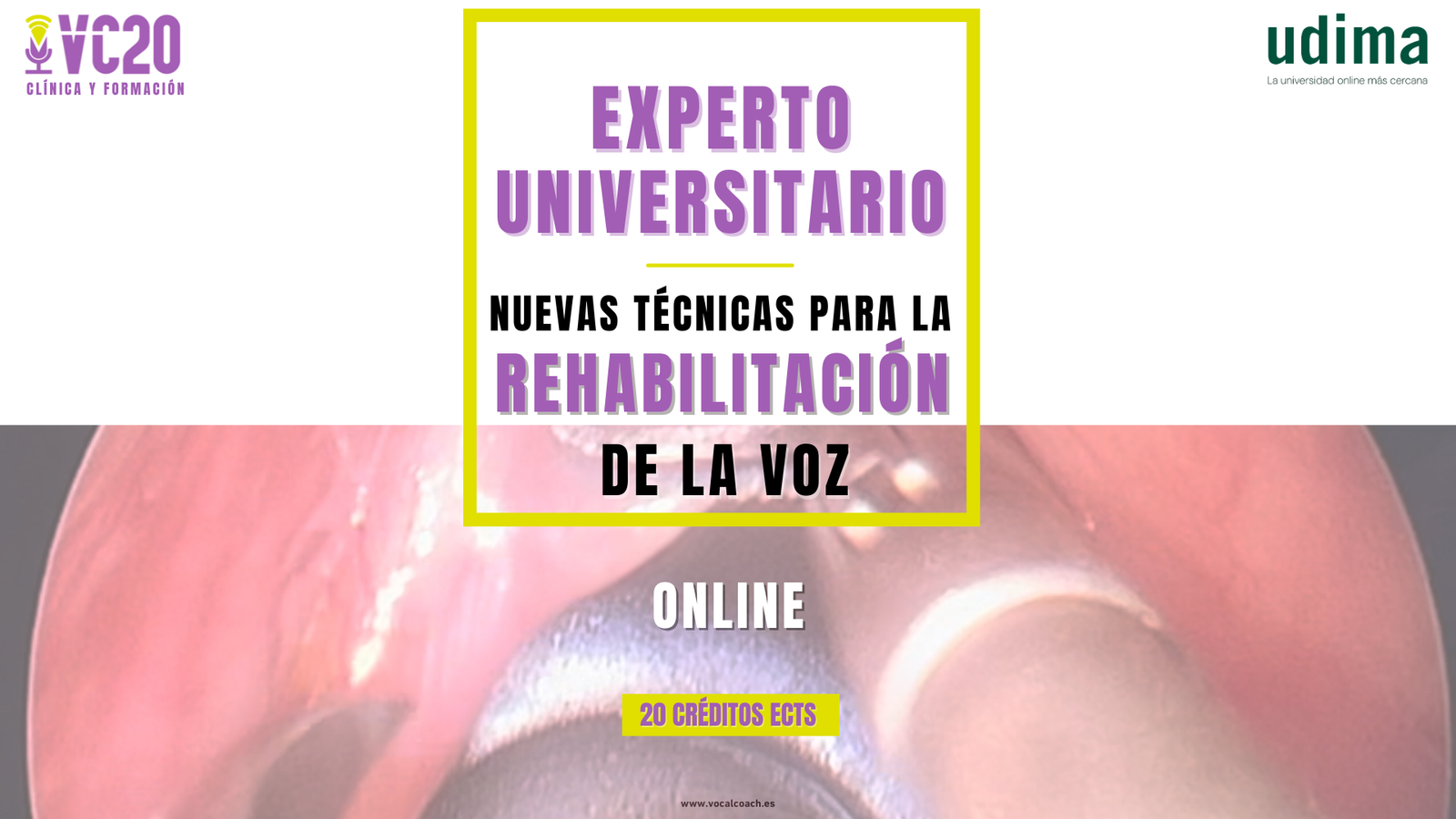 EXPERTO UNIVERSITARIO EN NUEVAS TÉCNICAS PARA LA REHABILITACIÓN DE LA VOZ – 20 CRÉDITOS ECTS